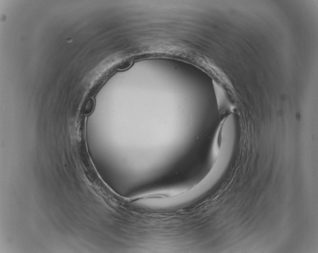 X0000087640628200705241240