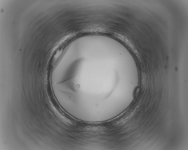 X0000087640629200705241240