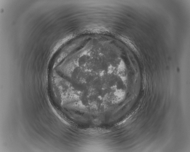 X0000087640630200705241240