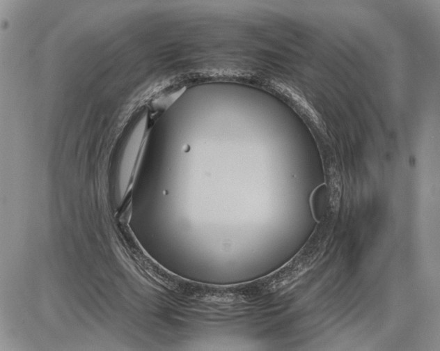 X0000087640631200705241240