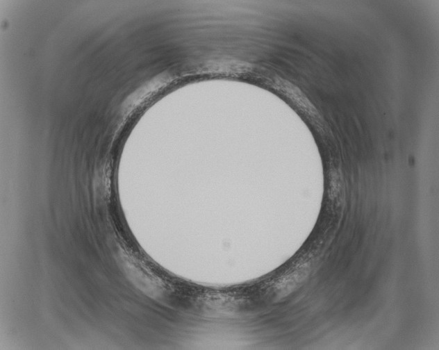 X0000087640632200705241240