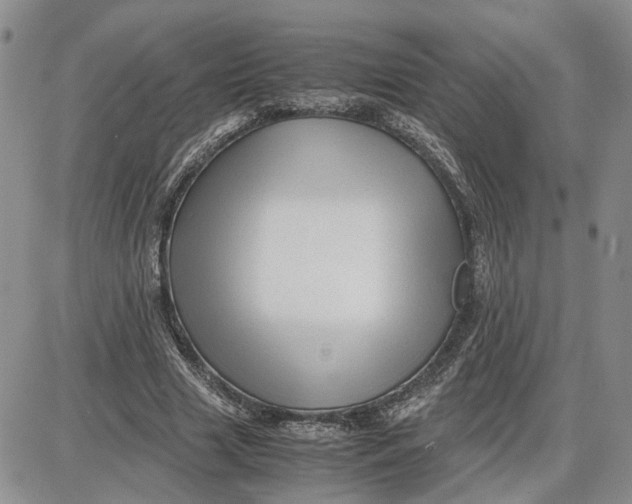 X0000087640633200705241240