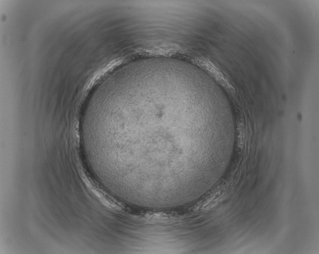 X0000087640634200705241240