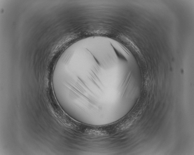 X0000087640635200705241240