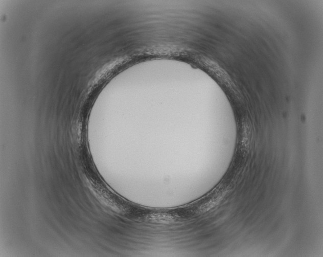 X0000087640636200705241241