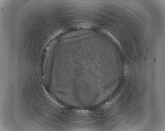 X0000087640637200705241241