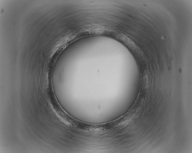 X0000087640638200705241241