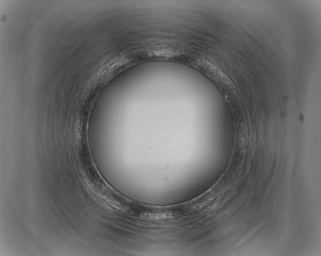 X0000087640639200705241241