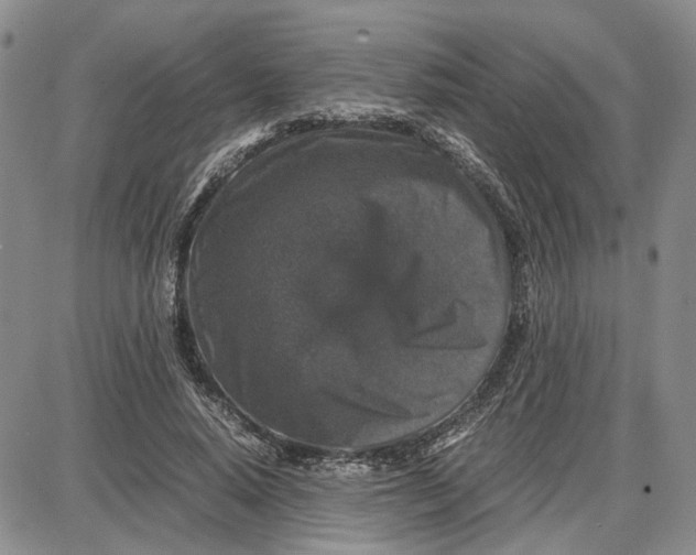 X0000087640640200705241241