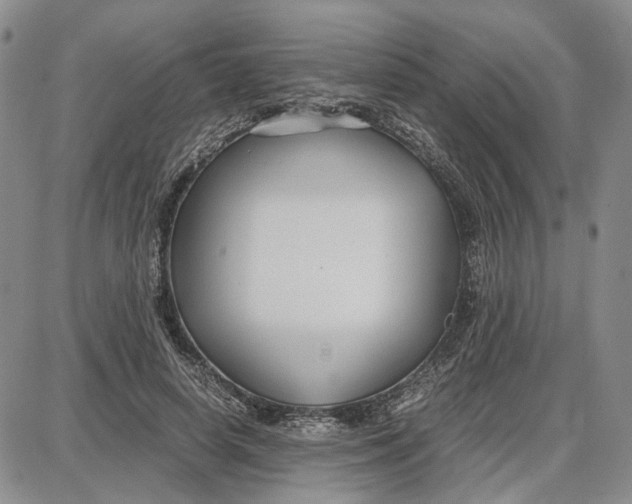 X0000087640642200705241241