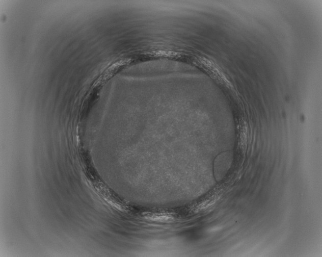 X0000087640643200705241241