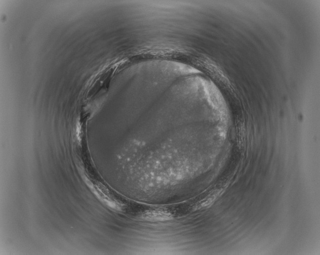 X0000087640644200705241241