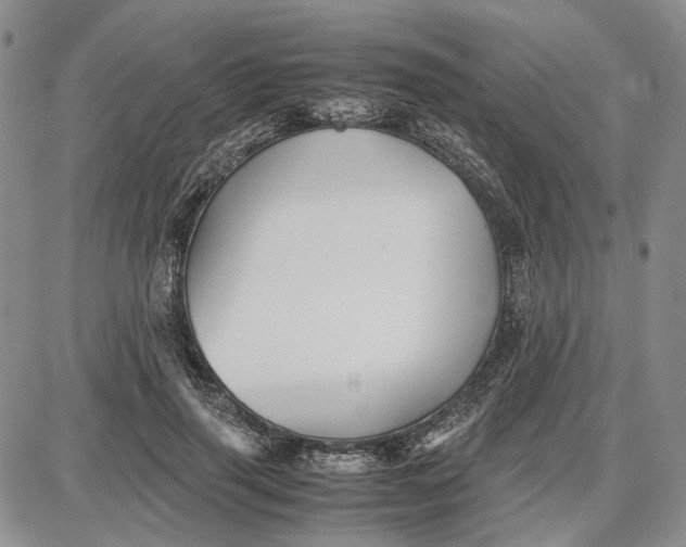 X0000087640645200705241241