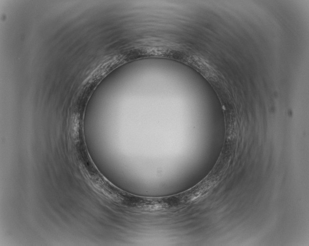 X0000087640646200705241241