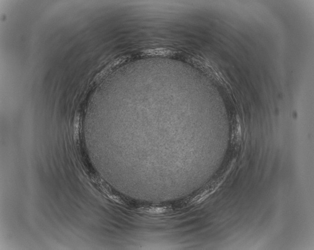 X0000087640647200705241241