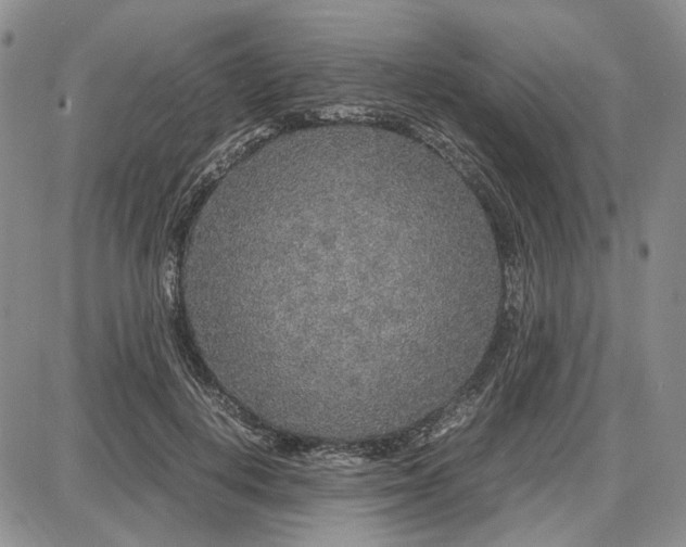 X0000087640648200705241241