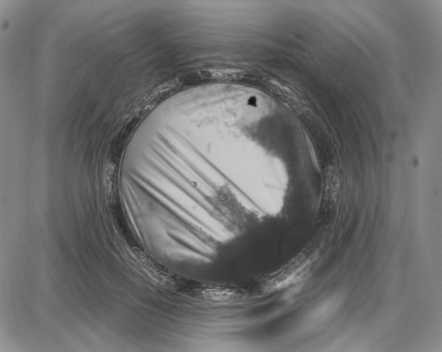 X0000087640650200705241241