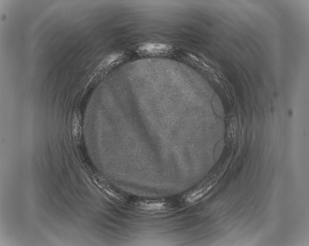 X0000087640651200705241241