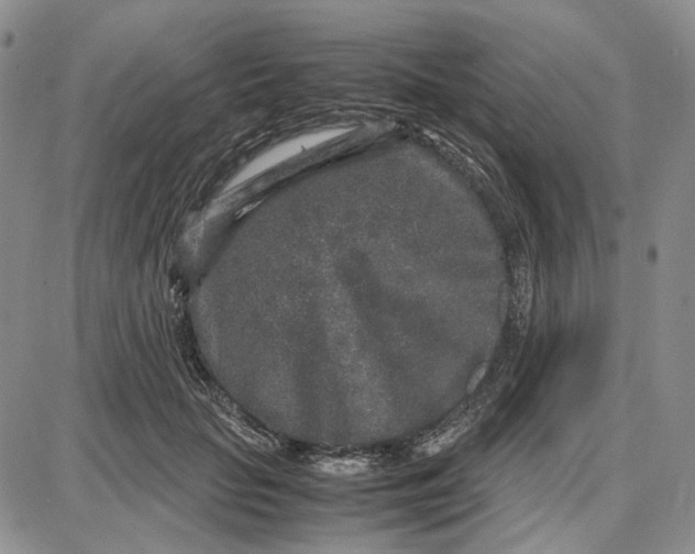 X0000087640653200705241241