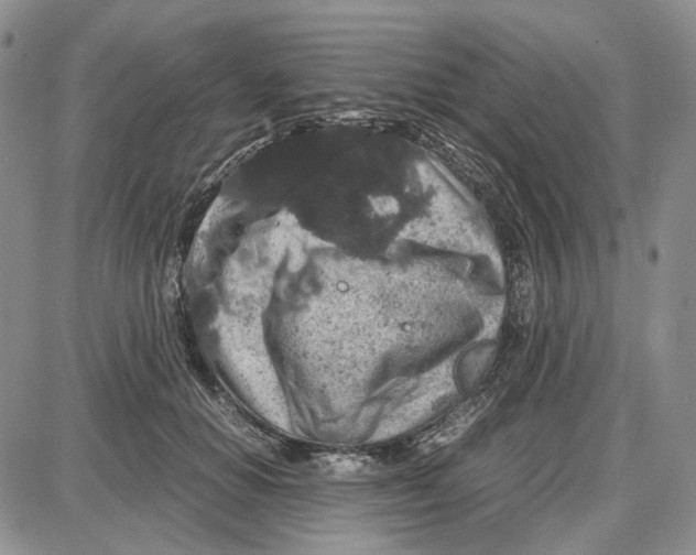 X0000087640654200705241241