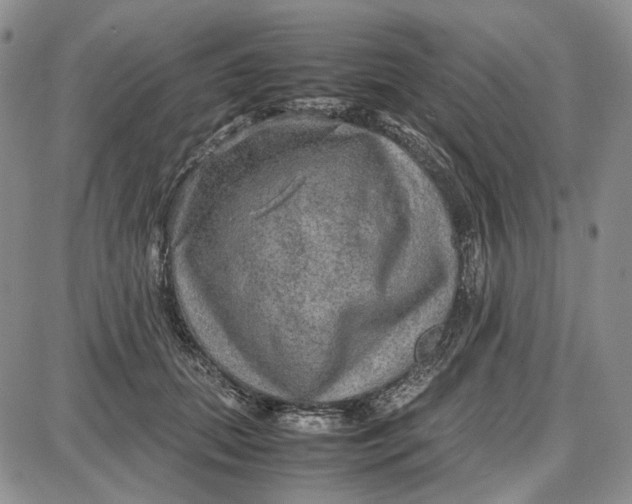 X0000087640655200705241241