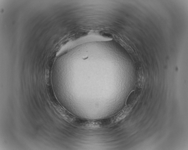 X0000087640656200705241241