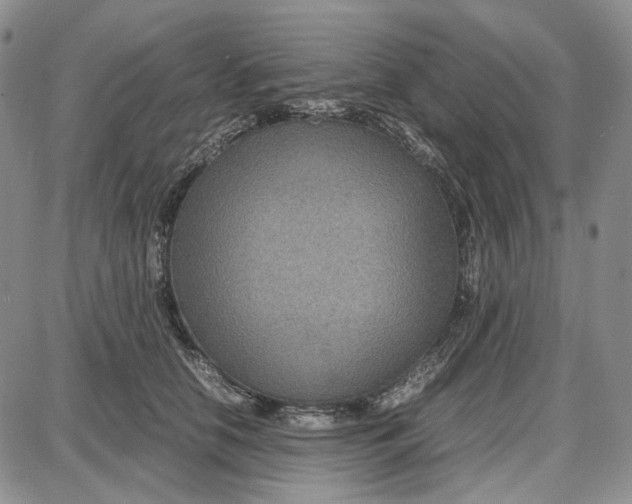 X0000087640658200705241241