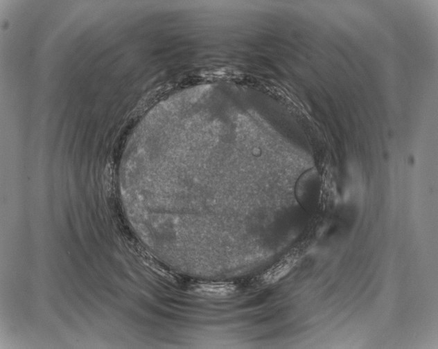 X0000087640659200705241241