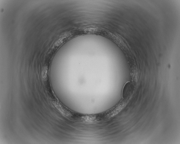 X0000087640660200705241241