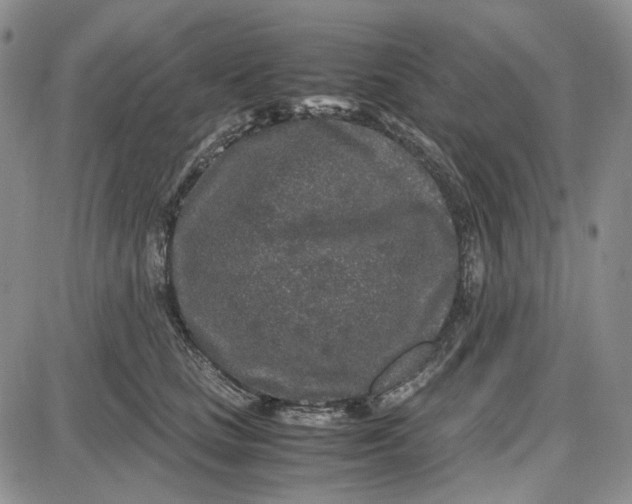 X0000087640661200705241241