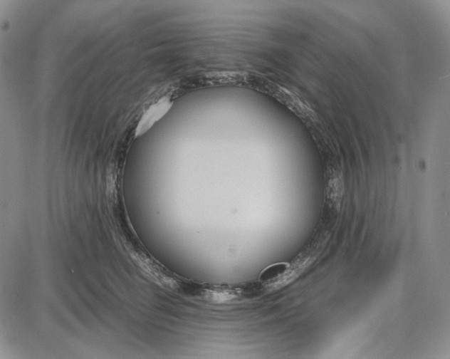 X0000087640662200705241241