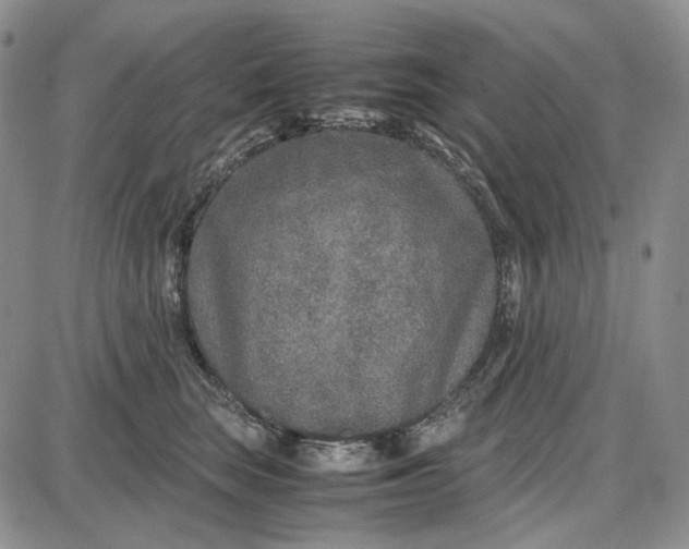 X0000087640663200705241241