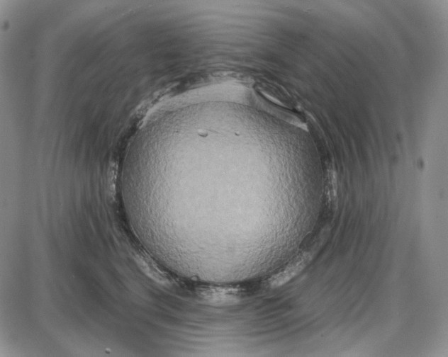 X0000087640664200705241241