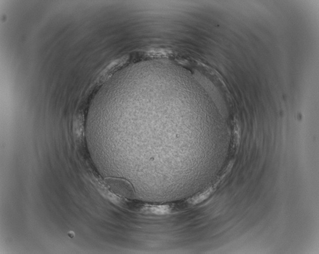 X0000087640665200705241241