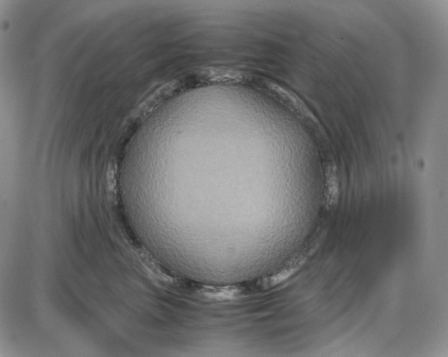 X0000087640667200705241241