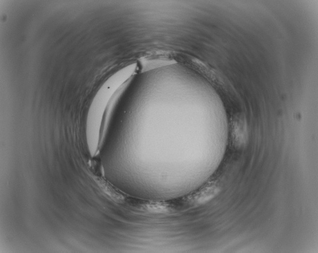 X0000087640668200705241241