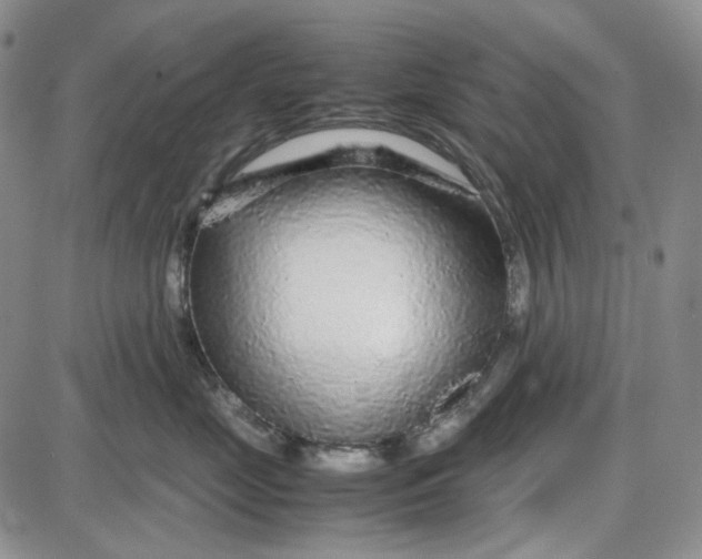 X0000087640669200705241241