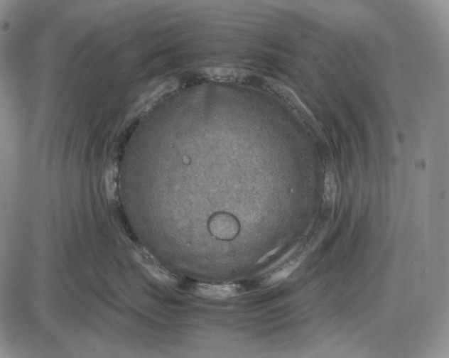 X0000087640671200705241241