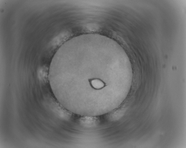 X0000087640672200705241241