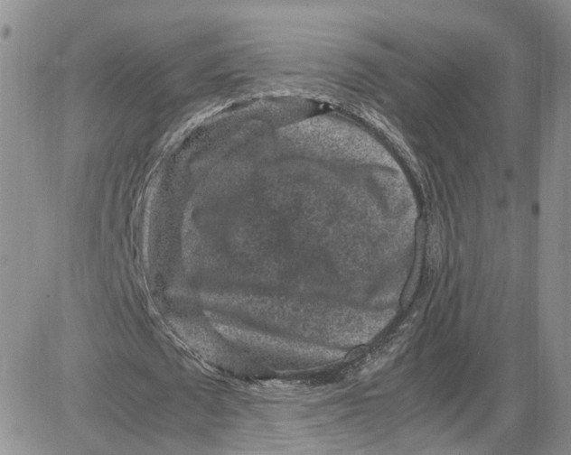 X0000087640673200705241240