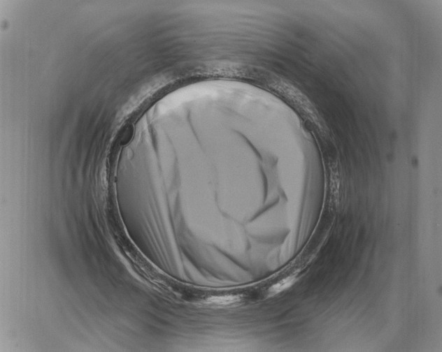 X0000087640674200705241240