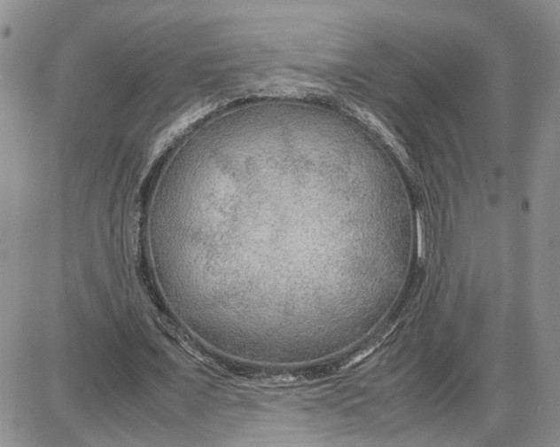 X0000087640675200705241240