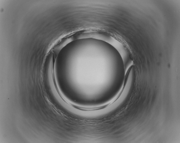 X0000087640676200705241240