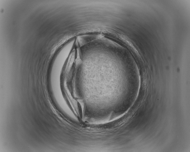 X0000087640677200705241240