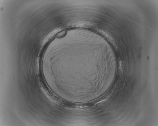 X0000087640678200705241240