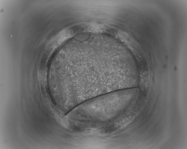 X0000087640679200705241240