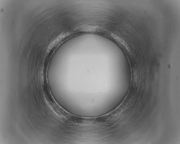 X0000087640682200705241240