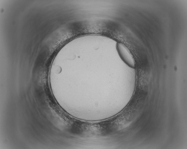 X0000087640683200705241240