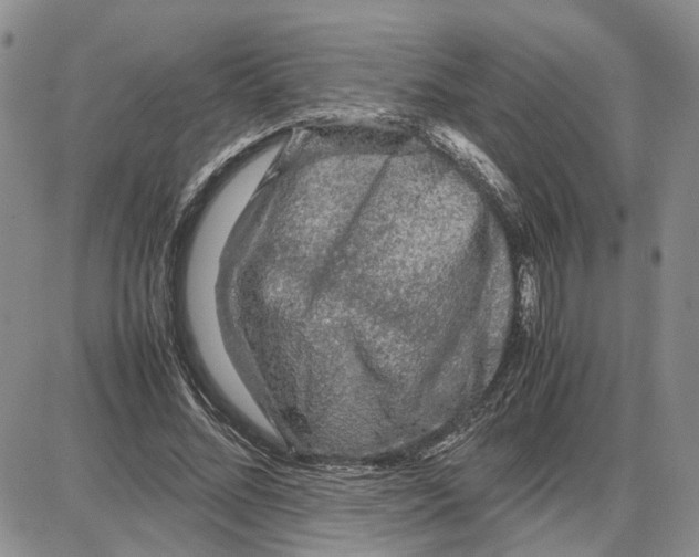 X0000087640684200705241240