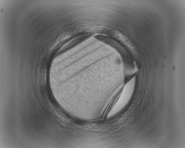 X0000087640685200705241240